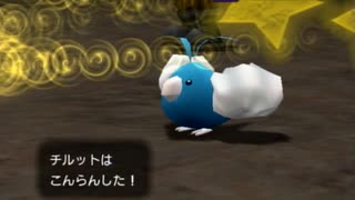 ポケモンコロシアム実況：剣と盾を携え挑むコロシアム　part14