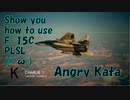 Ace Combat 7 Multiplayer475 バトルロイヤル F-15C + PLSL