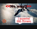 Ace Combat 7 Extra91 バトルロイヤル 葛根湯氏とのタイマン総集編