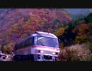 【のら】高山本線を走行するキハ85　その09