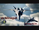 Ace Combat 7 Extra93 バトルロイヤル felinegull氏とのタイマン総集編