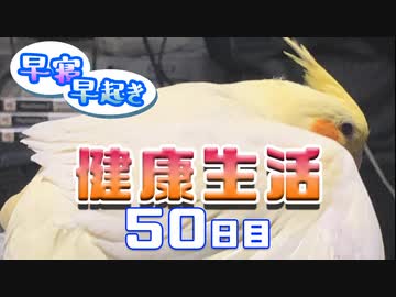 【Minecraft】早寝早起き 健康生活 50日目