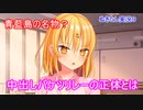 エロゲ界の異端児「ぬきたし」をツッコミプレイ！　part9
