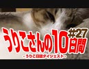 うりこさんの10日間 - 2019#27