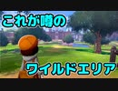 【ポケモン剣盾】後のポケモンマスターによる実況プレイ！ Part4