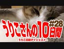 うりこさんの10日間 - 2019#28