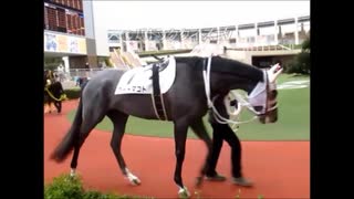 【現地映像】馬だけ見て当てれる？パドッククイズ難易度B　馬連4,230円、3連単43,250円