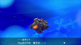 【独言実況】ポケモンを性的な目でしか見られないおっさんがポケモンシールド ９匹目