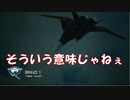 Ace Combat 7 Multiplayer478 バトルロイヤル Su-37 + HPAA