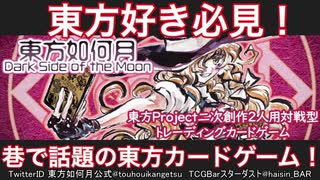 【東方】１０万円の価値がある東方のカードゲーム見つけました。【東方如何月】