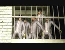 [7DTD] 悪夢の動物園は常走10 [α18.1]