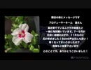 アイドルマスター SideM ラジオ 315プロNight! #237