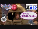 一人遊びが過ぎる…いくらでも遊べるドラクエ最高じゃな！【ドラクエ11Sdeダイエット！英#12】破壊されたイシの村〜イビルビースト戦直前まで