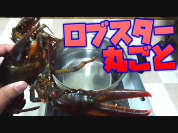 生きてるロブスターを丸ごと茹でてしまおう！！