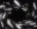 ホモと見るアバレキラー.cm