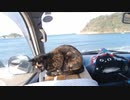 お気に入りの場所であずきとまったり 2019-11-14