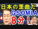 GSOMIA失効回避で韓国政府が遺憾砲。韓国大統領高官「日本が非常に意図的に歪曲し発表。こんな内容なら合意延長に達していなかった…」【海外の反応】