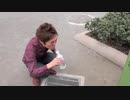 The Cinnamon Challenge - PDSHIKAKINSASHIMAN
