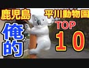 【鹿児島・平川動物園】俺的TOP１０ ~Animal ranking 10 in Japanese zoo~
