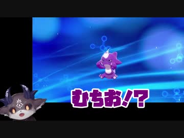 自分と似たポケモンを貰い、母性に目覚めるでびでび・でびる