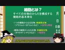 魔理沙のパーフェクトせいぶつ教室「細胞の種類」【ゆっくり生物解説】