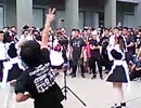 【ヲタ芸】月讀女僕咖啡《Oh! lemon》
