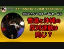 沖縄の権力者は誰だ？　ボギー大佐の言いたい放題　2019年11月24日　21時頃　放送分