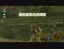 【ゼル伝BotW】100年の眠りから目覚めた勇者の冒険１１０【もちまる】