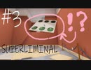 トリックアートまみれの夢の世界がやばかった♯3【SUPERLIMINAL】