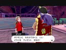 【ポケモン剣盾】　町がふつくしいです part3
