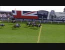 2017年 第238回ダービーステークス（Derby Stakes）ウイングスオブイーグルス(Wings of Eagles)