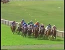 2003年 第224回ダービーステークス（Derby Stakes）クリスキン(Kris Kin)