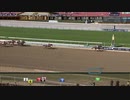 2014年 第76回 サンタアニタダービー(Santa Anita Derby)カリフォルニアクローム(California Chrome)