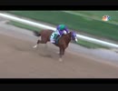 2014年 第140回 ケンタッキーダービー(Kentucky Derby)カリフォルニアクローム(California Chrome)