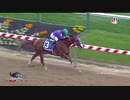 2014年 第139回 プリークネスステークス(Preakness Stakes)カリフォルニアクローム(California Chrome)