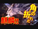 【MHW:IB】冬生れ冬大好き雪国に住みたい中２病の私がMHW:IBに移住してみた【初見実況】part38