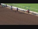 2016年 第5回 オーサムアゲインステークス(Awesome Again Stakes)カリフォルニアクローム(California Chrome)