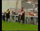 1996年 第217回ダービーステークス(Derby Stakes) シャーミット(Shaamit)