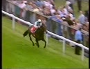 1993年 第214回ダービーステークス(Derby Stakes) コマンダーインチーフ(Commander in Chief)