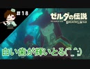【実況】マスターモードでやりこみサバイバル生活！！　Part18　【ゼルダの伝説　BotW】