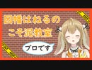 『何故か』泥棒に詳しい因幡はねる