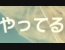 依頼を受けて、鳥人間のミニゲーム中に夢幻空間をクリアして会話不能にしてみた