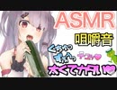 【ASMR】お腹の音と童話読み聞かせで寝かしつける VTuver ユメノシオリ さん