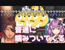 桜凛月「お湯が噛みついてくる」ベルモンド・バンデラス「？？？」睡民「？？？」桜ンボ「？？？」【にじさんじ・切り抜き】【りつきん/ベルさん　ダイヤモンド掘り対決】