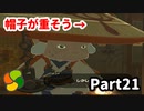 【実況】今年で定年を迎える父をハイラルの大地に放り込むPart21【ゼルダの伝説BotW】