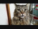【生海月】なまくらじお【2019.11.27】
