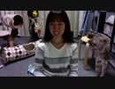【猫の多頭飼い】ねこ姉さんふじ子のおしゃべり報告会 2019.11.26