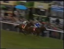 1989 第210回ダービーステークス(Derby Stakes) ナシュワン(Nashwan)