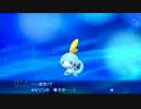 人間界のウールーがポケットモンスターソード・シールドを実況するpart5