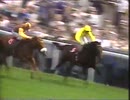 1987年 第208回ダービーステークス(Derby Stakes) リファレンスポイント(Reference Point)